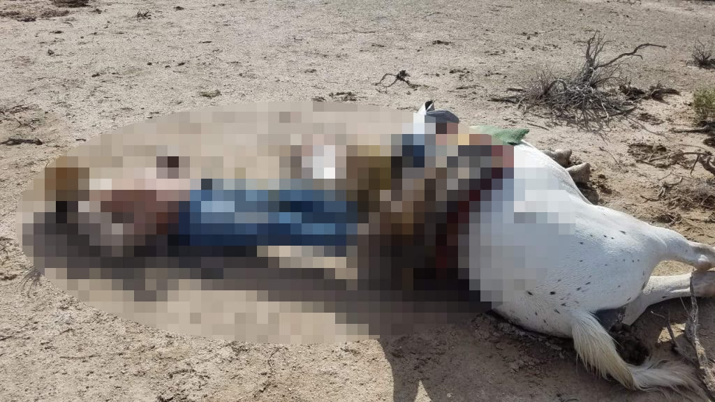 En San Pedro, Coahuila, un hombre muere al caerle un rayo | Digital News
