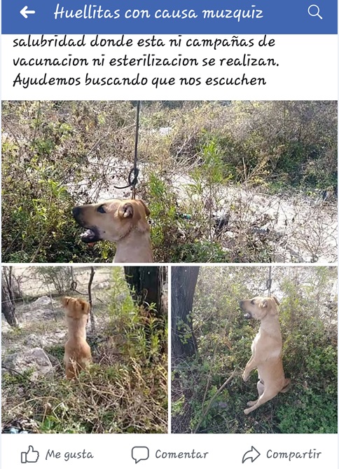 BUENA