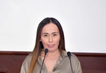 Fortalecer medidas de protección civil en establecimientos sociales y comerciales: Olivia Martínez