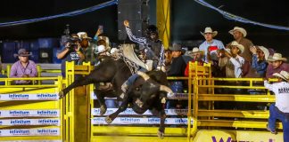 En Coahuila Hay Plan en Semana Santa