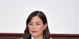 Integrar la prevención y control de rickettsiosis en la ley, plantea Edith Hernández