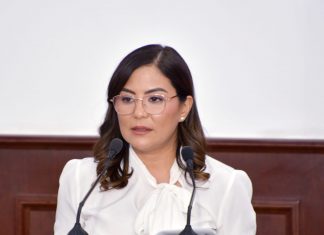 Integrar la prevención y control de rickettsiosis en la ley, plantea Edith Hernández